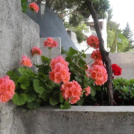 With Parking Space - Makarska - 11687 Διαμέρισμα *