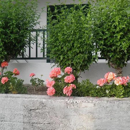 Διαμέρισμα With Parking Space - Makarska - 11687 Brela